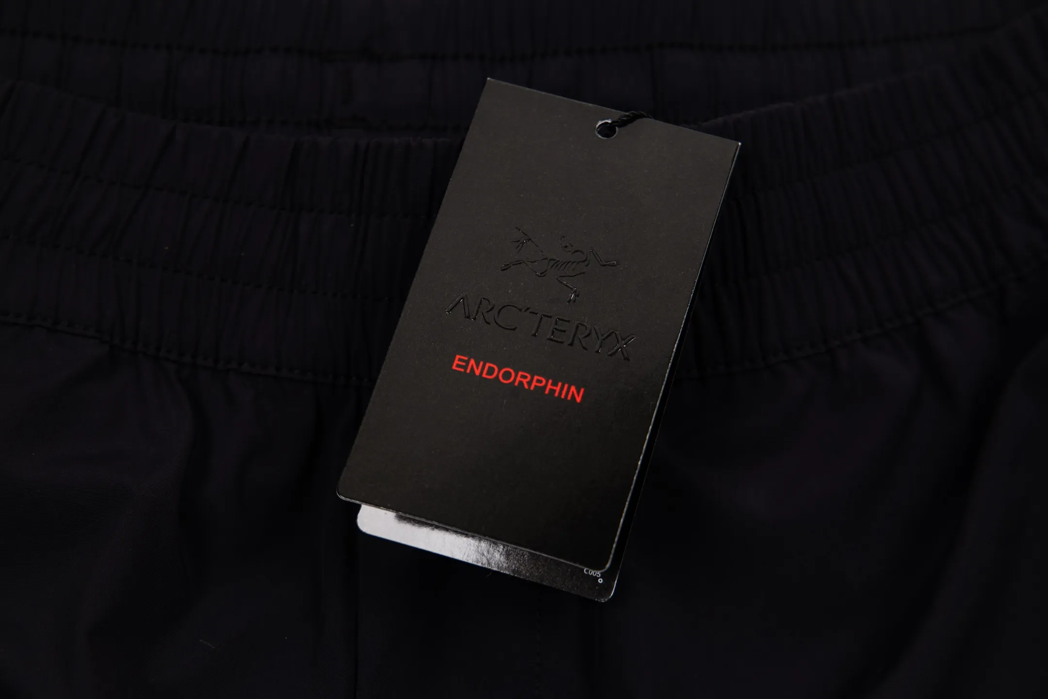 Arcteryx SS 25 GAMMA SL PANT logo Breathable